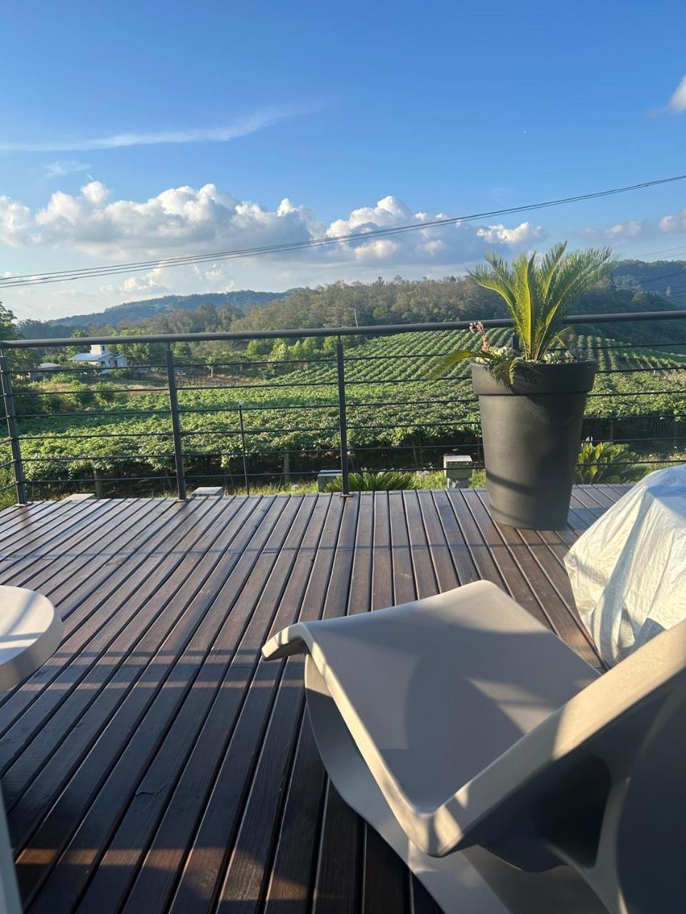 Bento Gonçalves Vista Vigneti Albergo & Vino - Vale Dos Vinhedos מראה חיצוני תמונה
